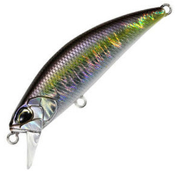 #GPA4009