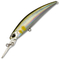 #ANA4010